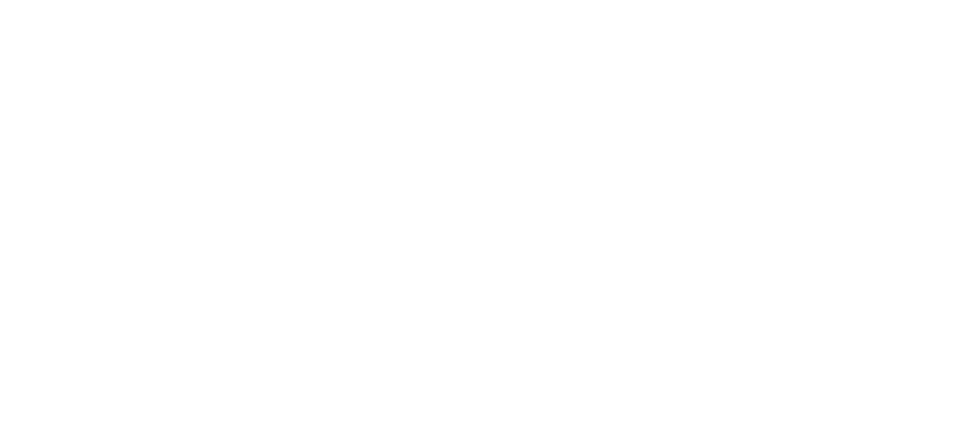 Accurate Gun Auctions